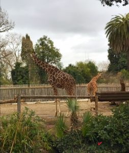 bioparco